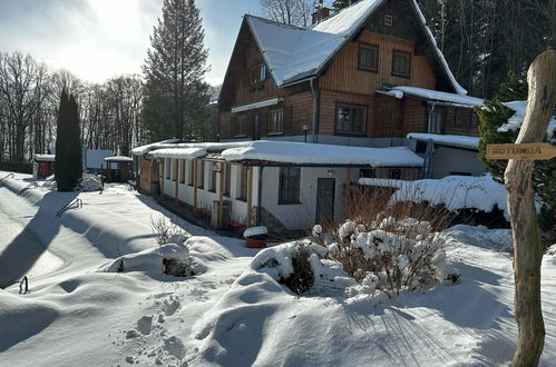 Foto 58 - Casa de 7 quartos em Mladé Buky com piscina e terraço