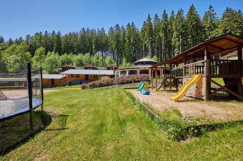 Foto 40 - Casa con 7 camere da letto a Mladé Buky con piscina e terrazza