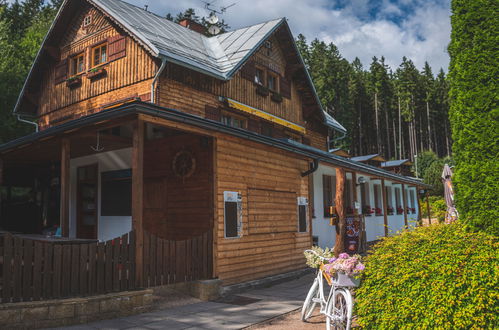 Foto 55 - Haus mit 7 Schlafzimmern in Mladé Buky mit schwimmbad und garten