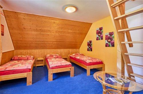 Foto 24 - Casa con 7 camere da letto a Mladé Buky con piscina e terrazza