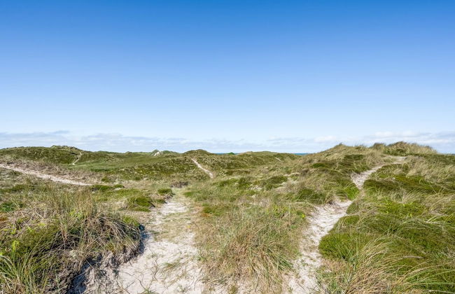 Casa con 4 camere da letto a Ringkøbing con piscina privata e terrazza - Foto 13