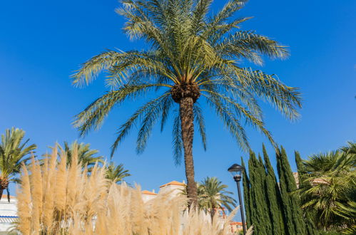 Foto 20 - Appartamento a Dénia con piscina e vista mare