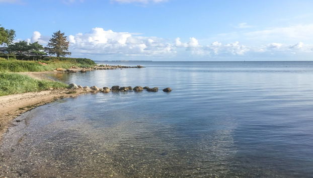 Haus mit 4 Schlafzimmern in Nykøbing M mit terrasse - Foto 3