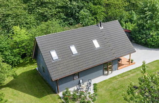 Foto 3 - Casa con 4 camere da letto a Tranekær con terrazza
