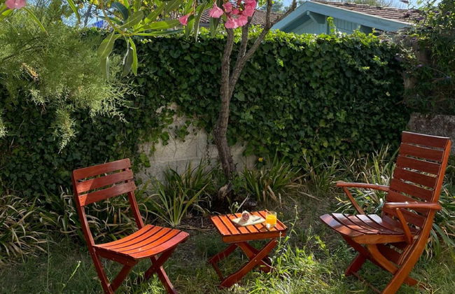 Casa de 3 quartos em Saint-Palais-sur-Mer com jardim e terraço - Foto 29