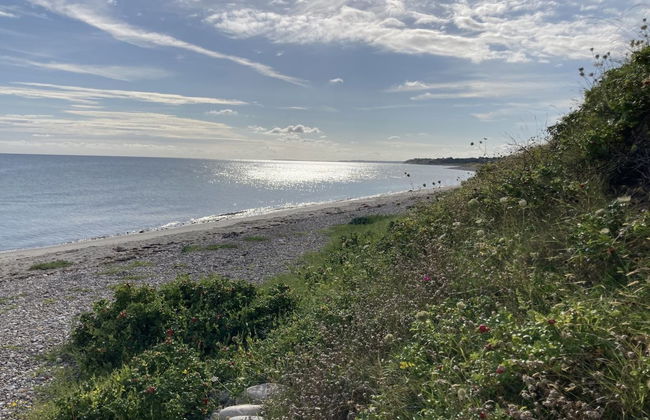 "Malte" - 75m from the sea - Foto 8