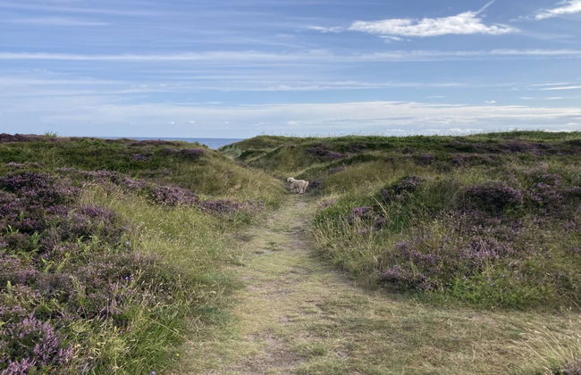 "Malte" - 75m from the sea - Foto 9