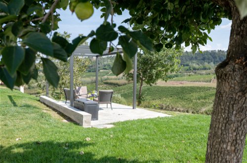 Foto 42 - Casa con 4 camere da letto a Costigliole d'Asti con piscina e giardino