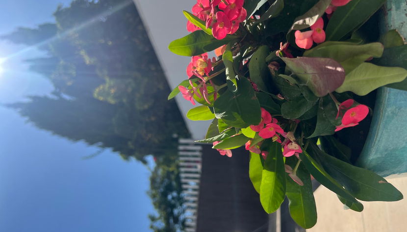 Ancla Real Del Puerto De Santa Maria - Foto 3