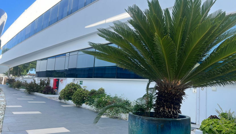 Ancla Real Del Puerto De Santa Maria - Foto 2