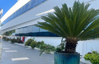 Foto 2 - Ancla Real Del Puerto De Santa Maria