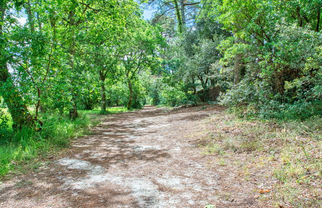 Casa de 3 quartos em Lacanau com jardim e terraço - Foto 28