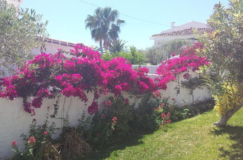 Foto 18 - El Capistrano