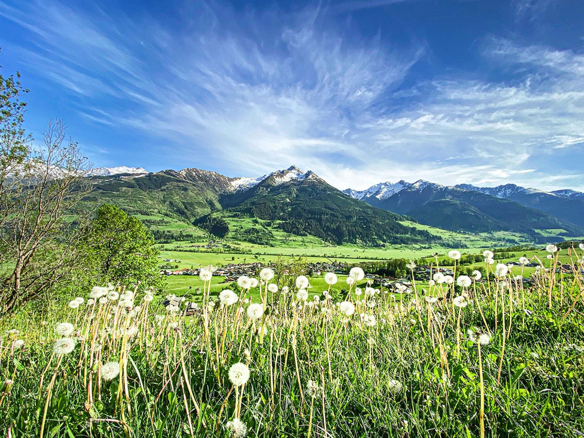 Photo 21 - 1 bedroom Apartment in Piesendorf with terrace and mountain view