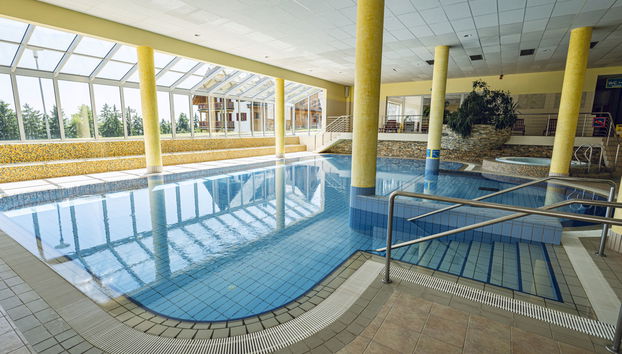 Apartment mit 2 Schlafzimmern in Hoče-Slivnica mit schwimmbad und sauna - Foto 4