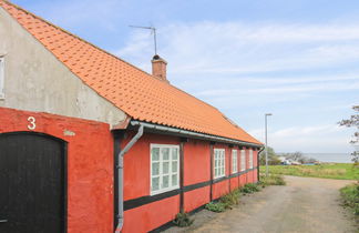 Photo 1 - Maison de 3 chambres à Svaneke avec terrasse