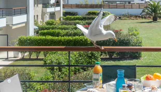 Apartment mit 3 Schlafzimmern in Quiberon mit garten und terrasse - Foto 2