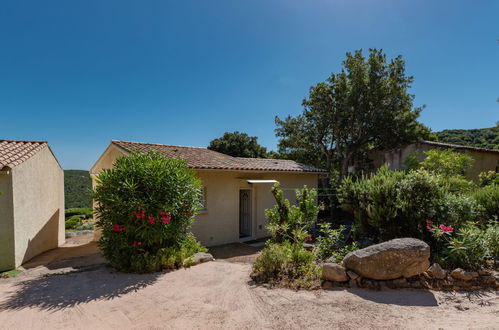 Photo 20 - Maison de 1 chambre à Sotta avec terrasse et vues à la mer