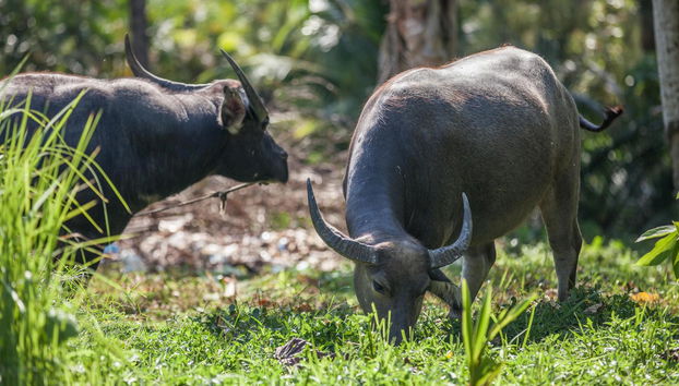 Fisherman Way Beach Villa - Foto 4