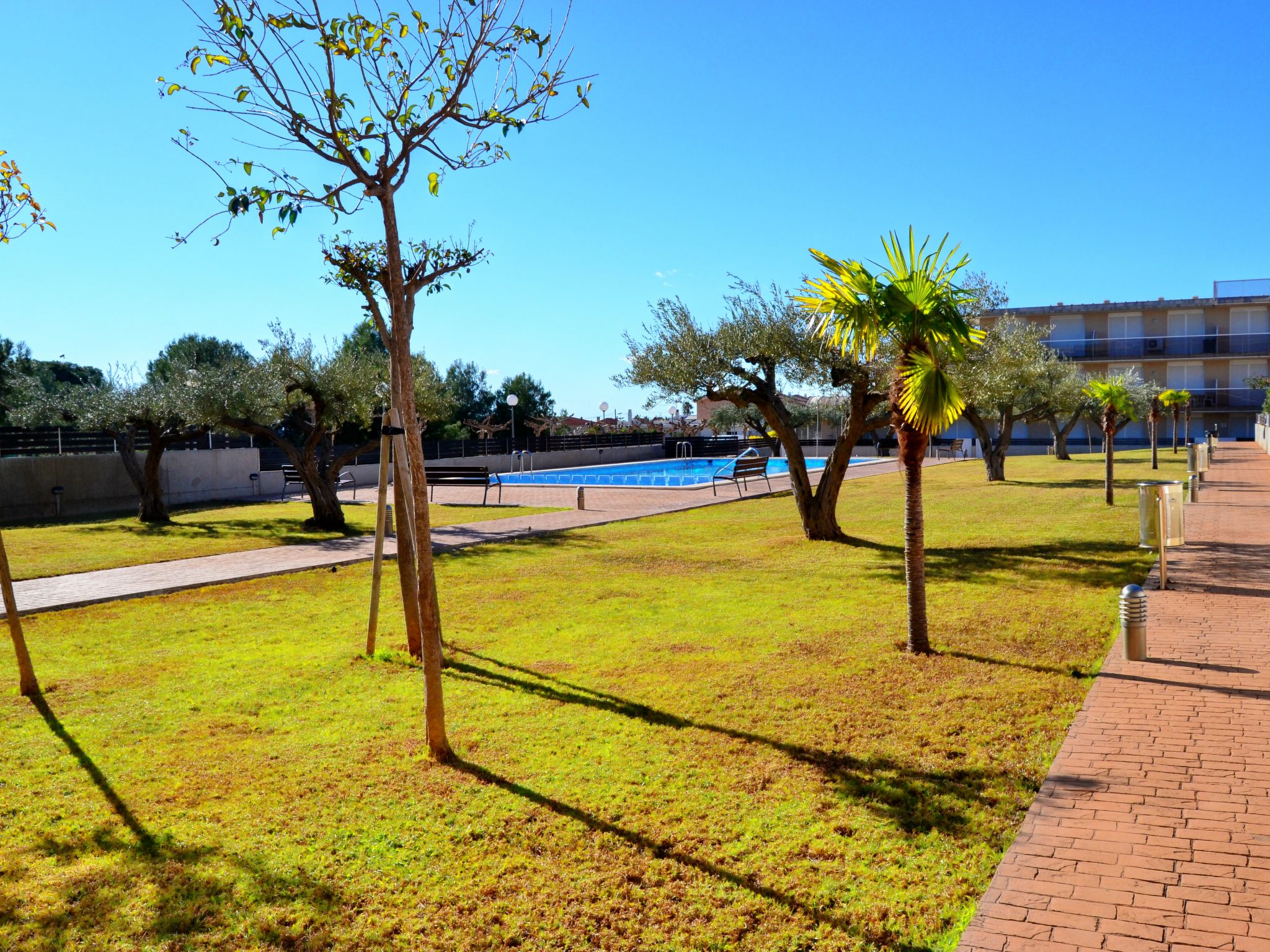 Photo 29 - 2 bedroom Apartment in Alcanar with swimming pool and garden