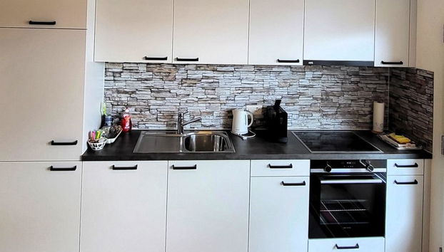 Apartamento de 1 quarto em Beatenberg - Foto 3