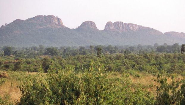 Panna National Park private tour - Foto 2