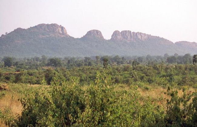Panna National Park private tour - Photo 2