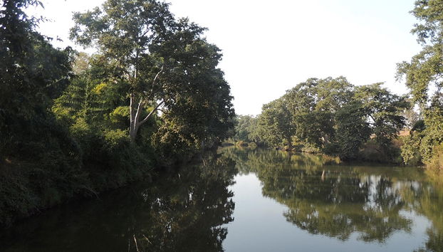 Panna National Park private tour - Foto 3