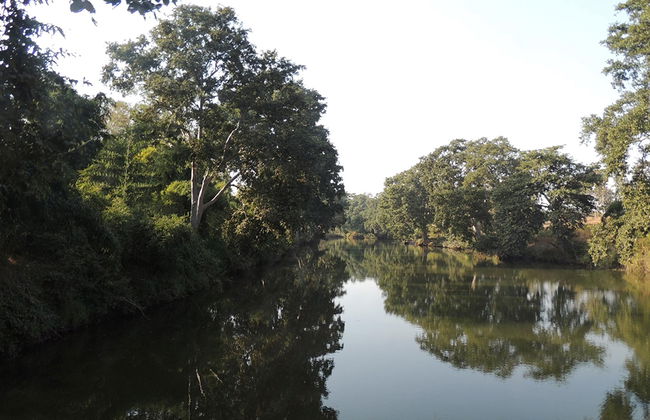 Panna National Park private tour - Photo 3