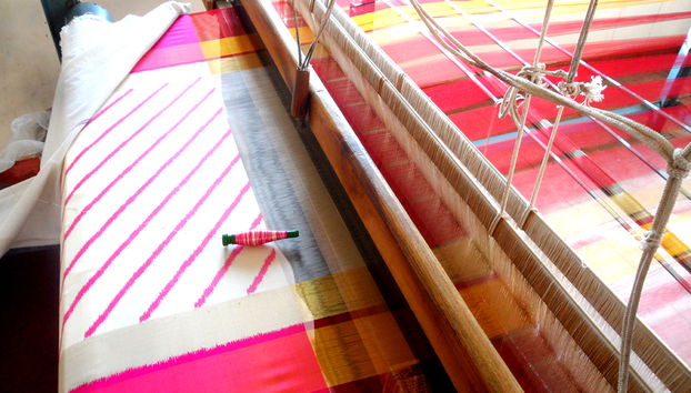 Excursion to Pochampaly Kotyallagudem Textile Village - Foto 2
