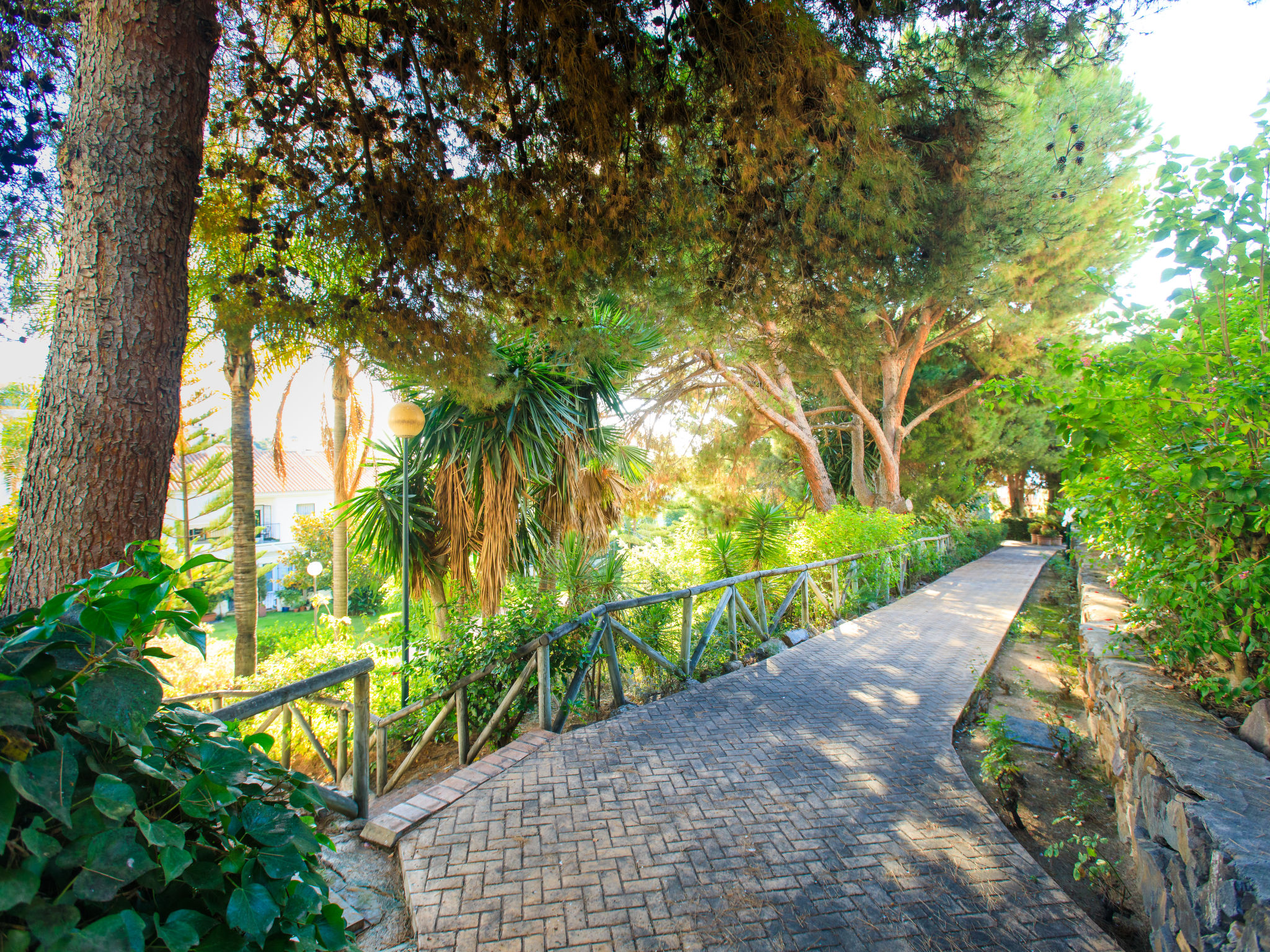 Photo 17 - Maison de 3 chambres à Rincón de la Victoria avec piscine et jardin