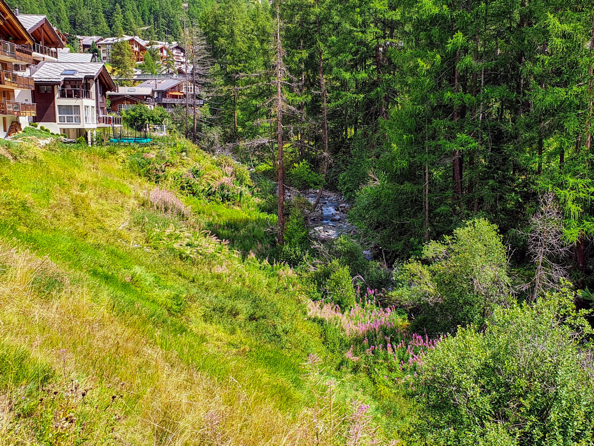 Photo 25 - Appartement de 3 chambres à Zermatt avec vues sur la montagne