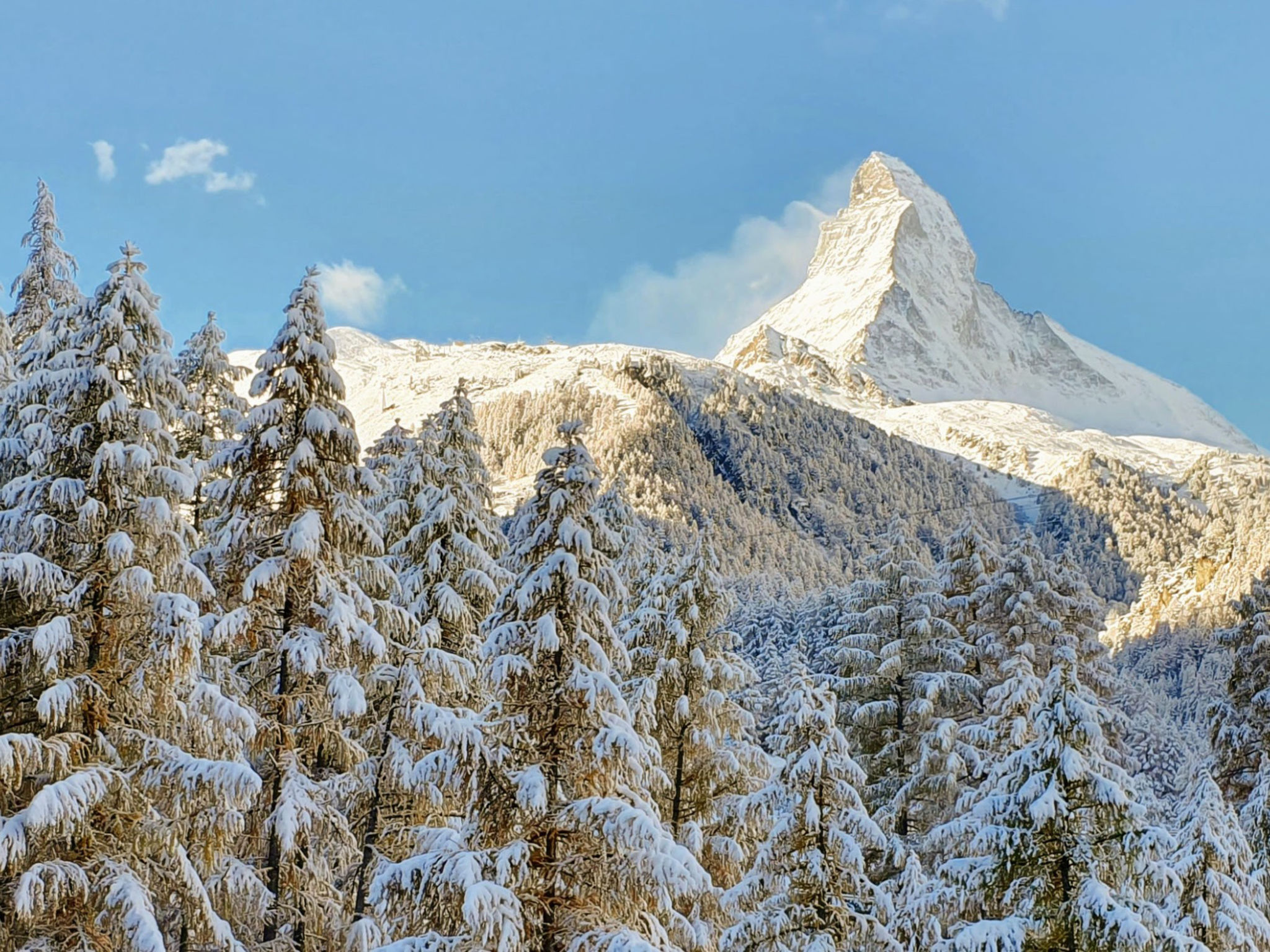 Foto 23 - Appartamento con 3 camere da letto a Zermatt