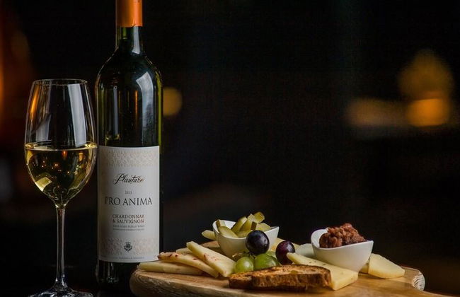 Rota do Vinho de Podgorica - Tour Privado - Foto 2