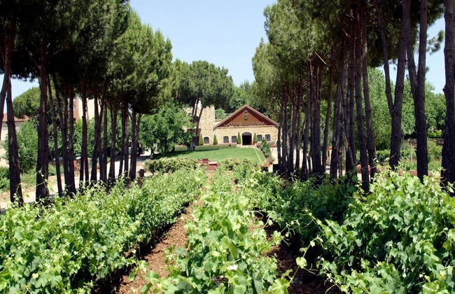 Descubra Baalbeck, Anjar y Ksara - Excursión de día completo - Foto 5