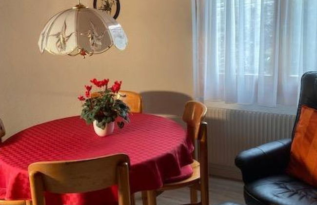Apartment mit 1 Schlafzimmer in Frutigen mit garten - Foto 14