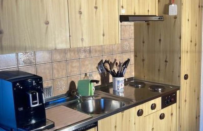 Apartment mit 1 Schlafzimmer in Frutigen mit garten - Foto 15