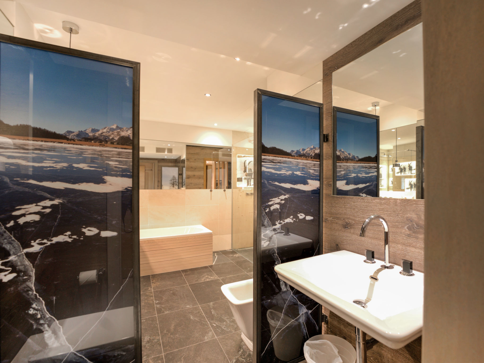 Photo 15 - 2 bedroom Apartment in Sankt Moritz with terrace and mountain view