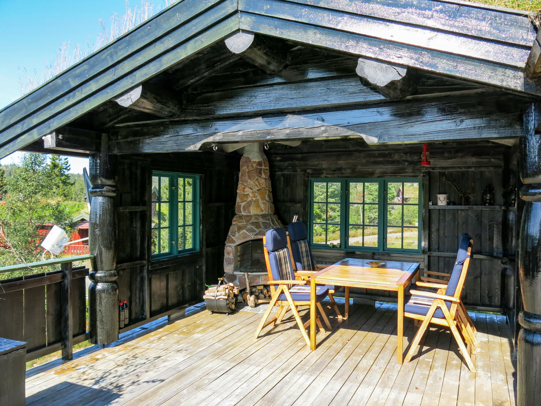 Photo 2 - Maison de 3 chambres à Nissedal avec jardin et terrasse