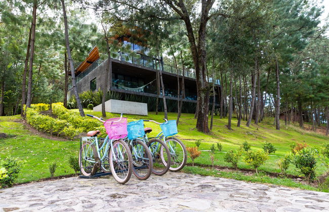 Sierra Lago Resort & Spa - Photo 68