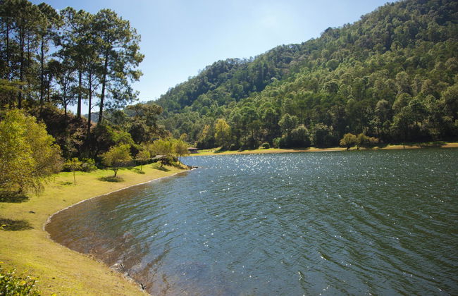 Sierra Lago Resort & Spa - Photo 15