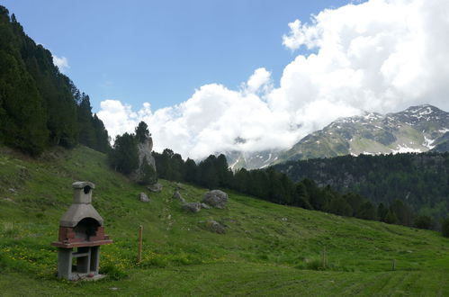 Photo 21 - House in Blenio with garden