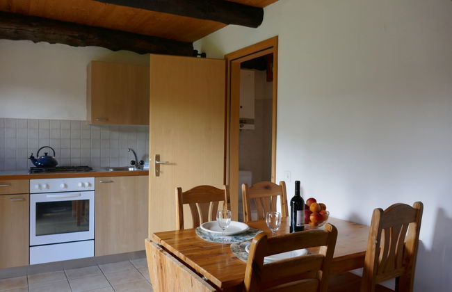 Casa de 1 quarto em Blenio com jardim - Foto 8