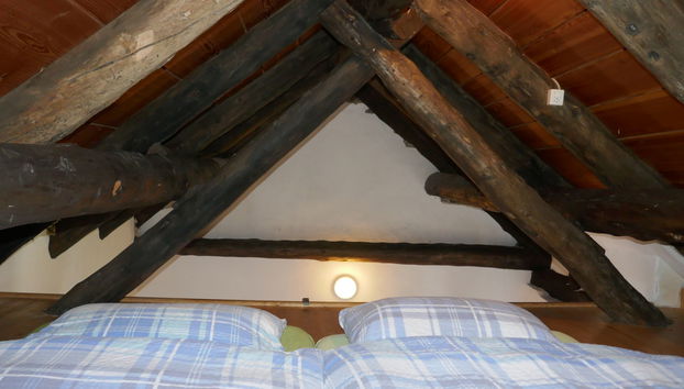Casa de 1 quarto em Blenio com jardim - Foto 4