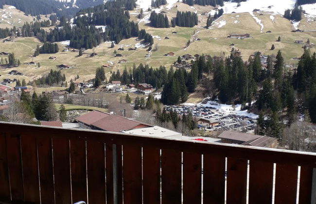 Apartamento de 2 quartos em Adelboden - Foto 21