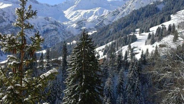 Apartamento de 2 quartos em Adelboden - Foto 4