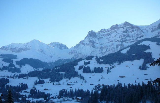 Apartamento de 2 quartos em Adelboden - Foto 2
