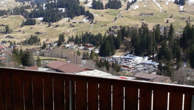 Apartamento de 2 quartos em Adelboden - Foto 3