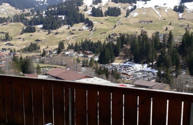 Apartamento de 2 quartos em Adelboden - Foto 3