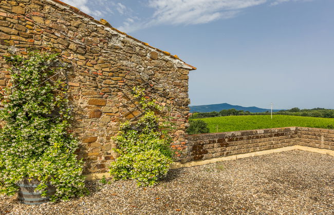 Apartamento de 2 quartos em Cinigiano com piscina e jardim - Foto 65